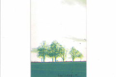 Siebdruck_Heitere_Bueume_10