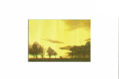 Siebdruck_Heitere_Bueume_11