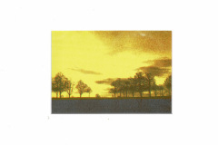 Siebdruck_Heitere_Bueume_2
