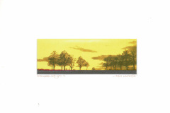 Siebdruck_Heitere_Bueume_7